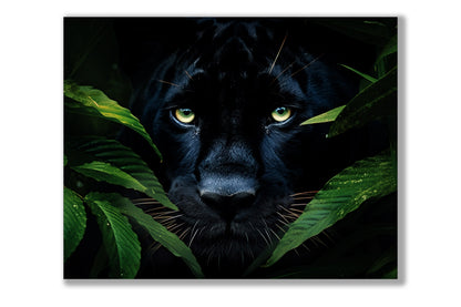 Art mural-Jaguar noir rare -Toile animalière