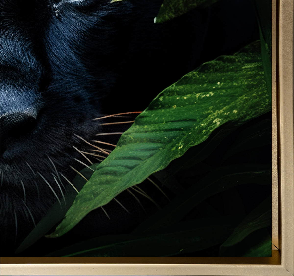 Art mural-Jaguar noir rare -Toile animalière