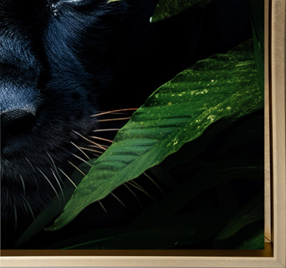 Art mural-Jaguar noir rare -Toile animalière