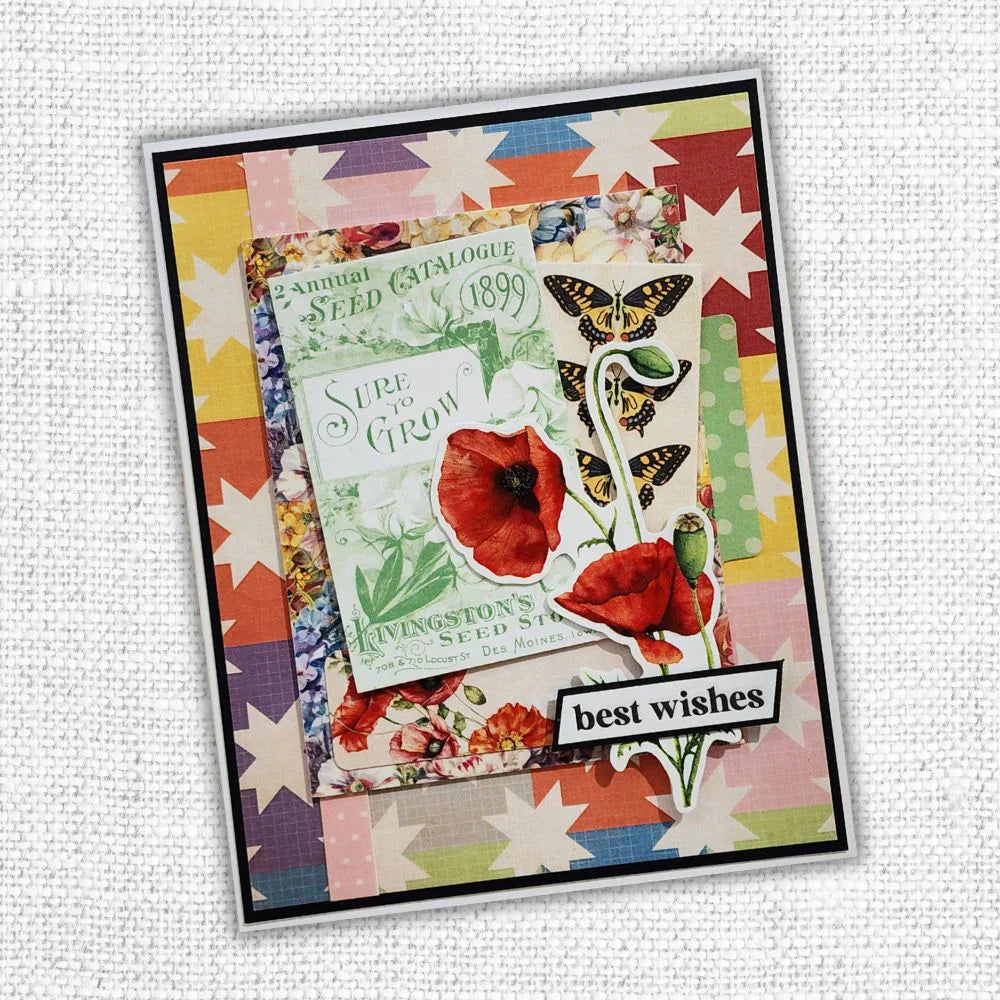 Kit de carterie Papercuts - octobre 2024