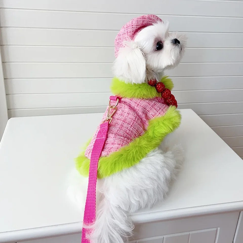 Ensemble Harnais à Carreaux | Ensemble Harnais, Laisse et Chapeau pour Chien