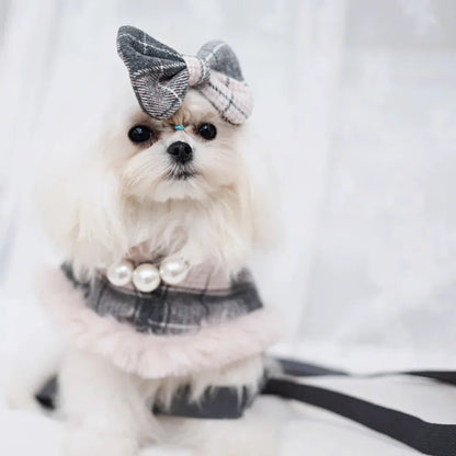 Ensemble Harnais, Chapeau et Laisse pour chien Peaky Street Tweed