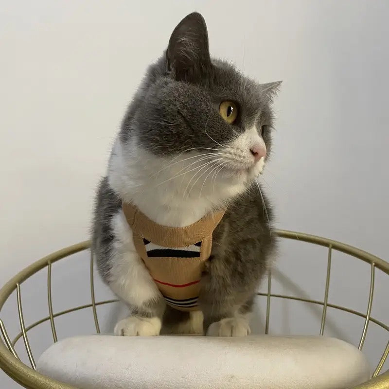 T-shirt Brrbrry