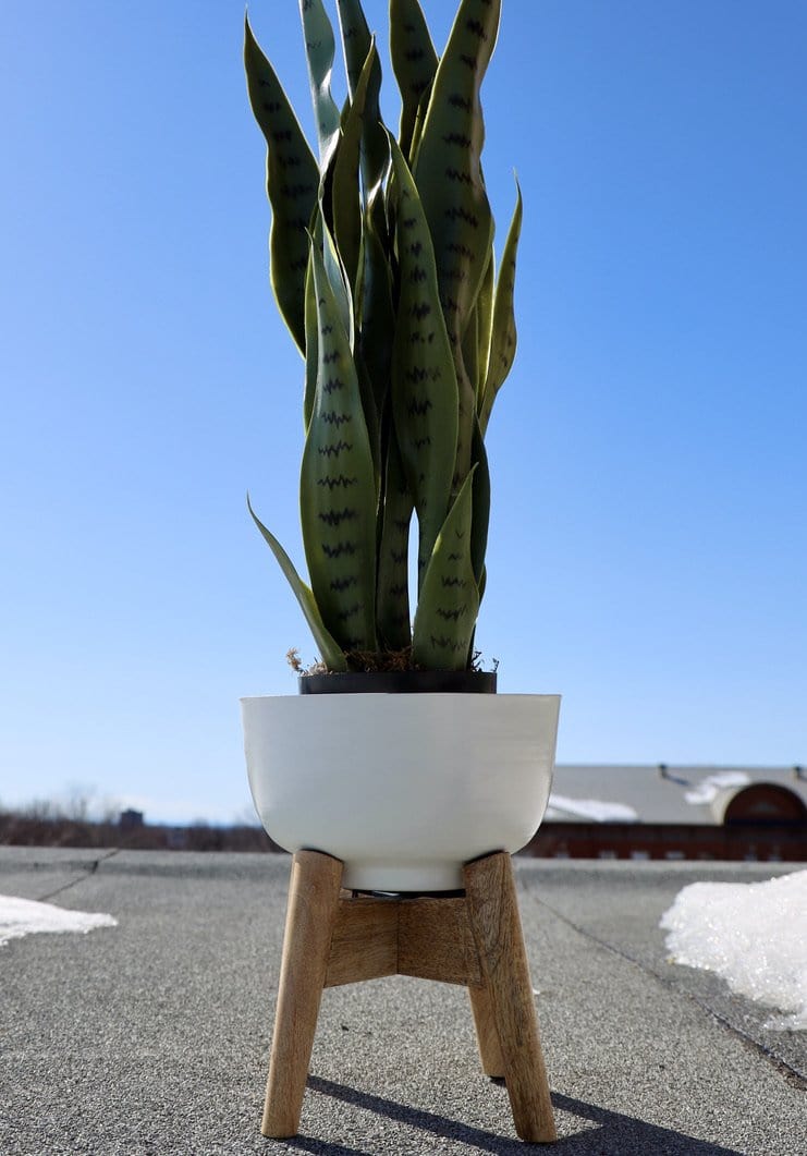 Sita - Jardinière à Pieds en Bois Tourné Blanc (Plusieurs Tailles)
