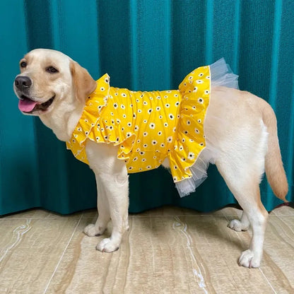 Robe Bella
