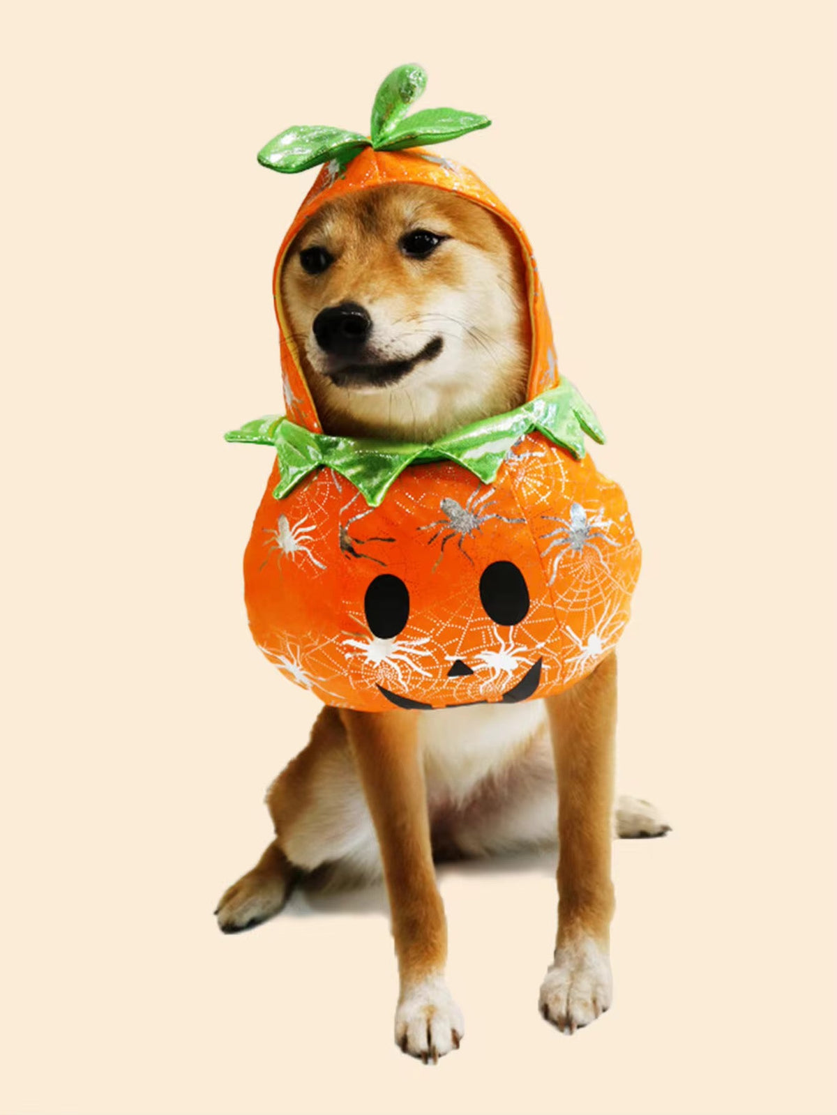 Pumpkin Dog Costume | Halloween Dog Costume