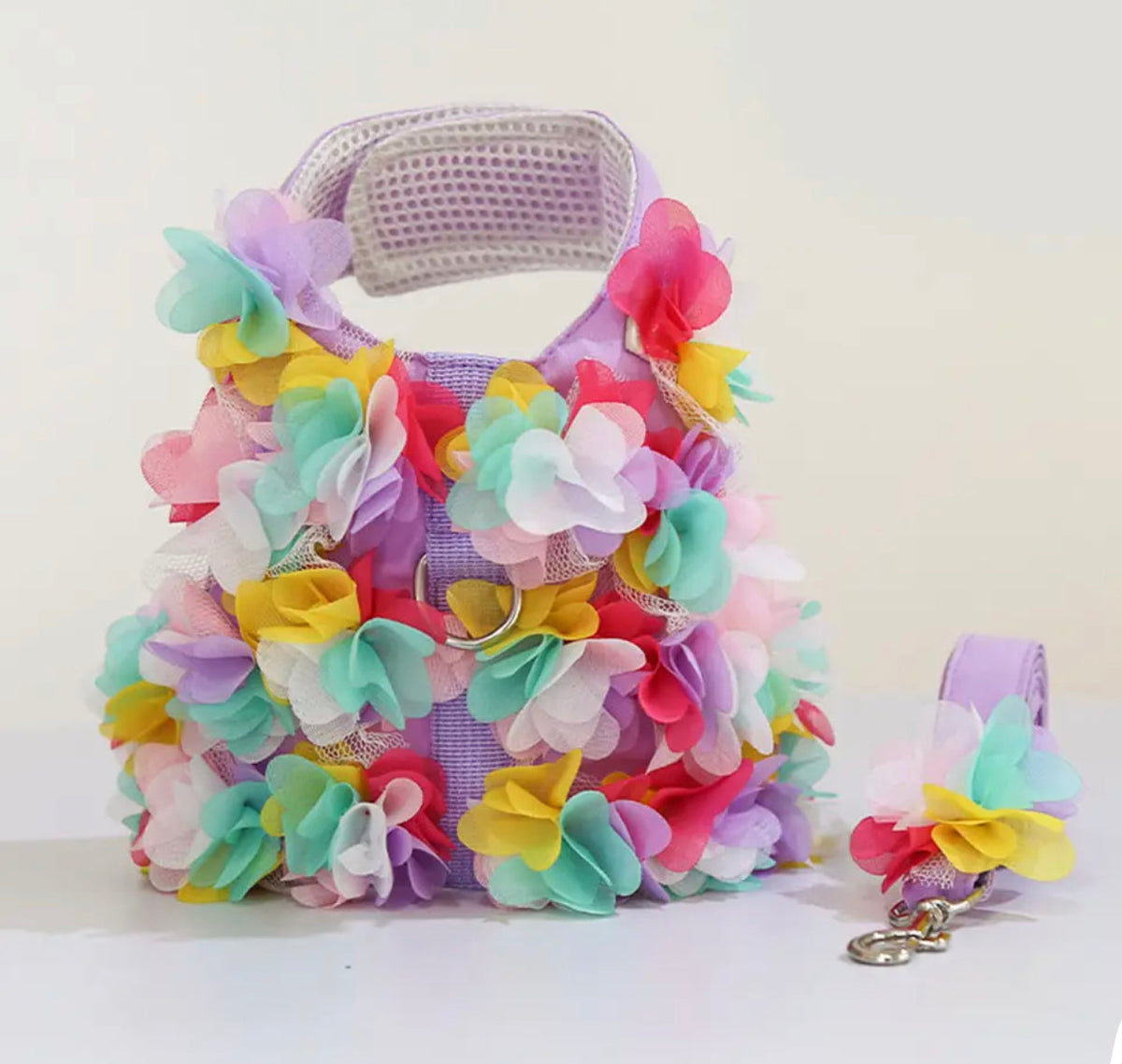 Ensemble Harnais et Laisse Cerisier en Fleurs | Ensemble de Promenade pour Chien