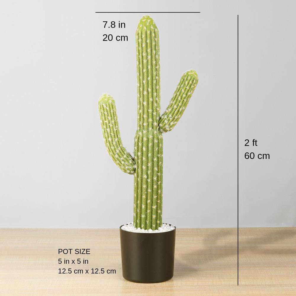 Plante artificielle en pot, cactus Dado, 60 cm