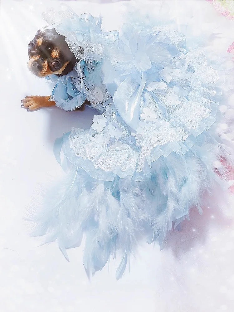 Robe de princesse Elsa pour chien | Tenue de soirée féerique pour chien