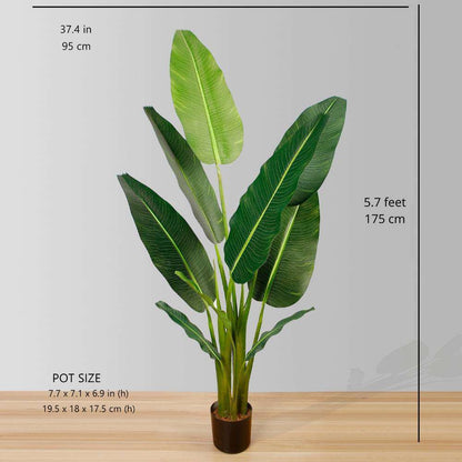 Palm Tree Artificiel En Pot Dani (Plusieurs Tailles)