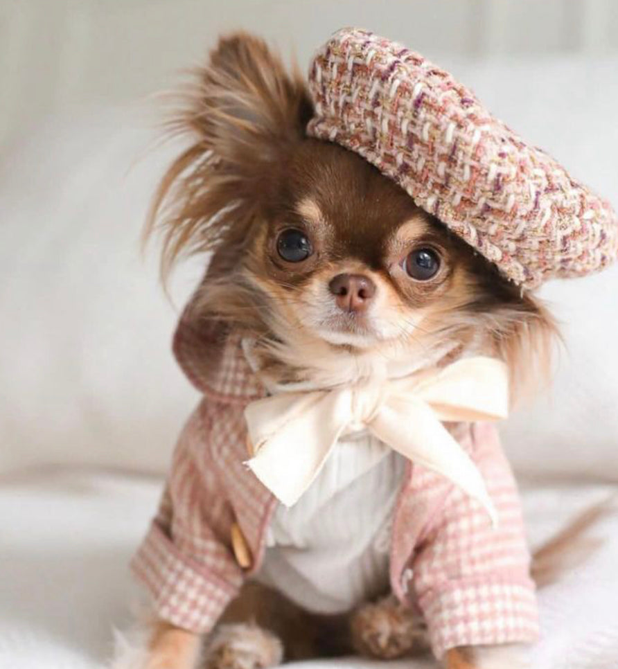 Ensemble manteau et bonnet pour chien Tweed Lover | Manteau classique avec bonnet assorti