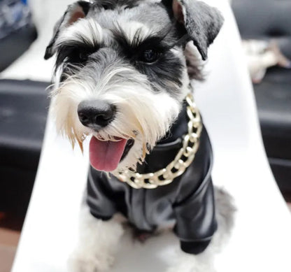 Blouson en cuir pour chien « Boujee » | Veste pour chien pour temps froid