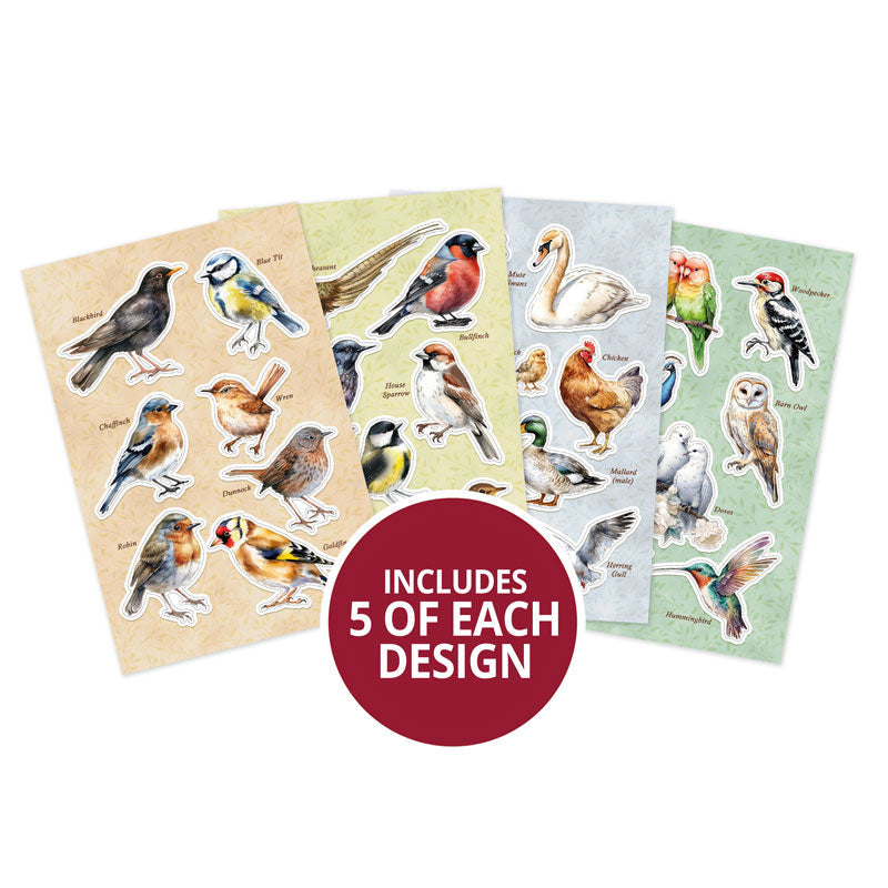 Superbes découpes – Magnifiques oiseaux