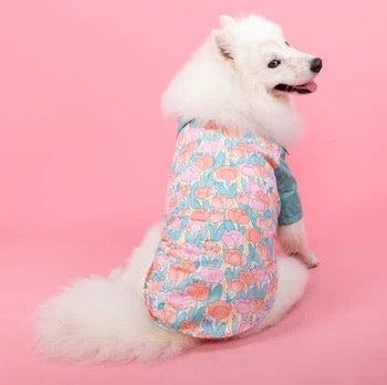 Robe/Chemise Pétunia