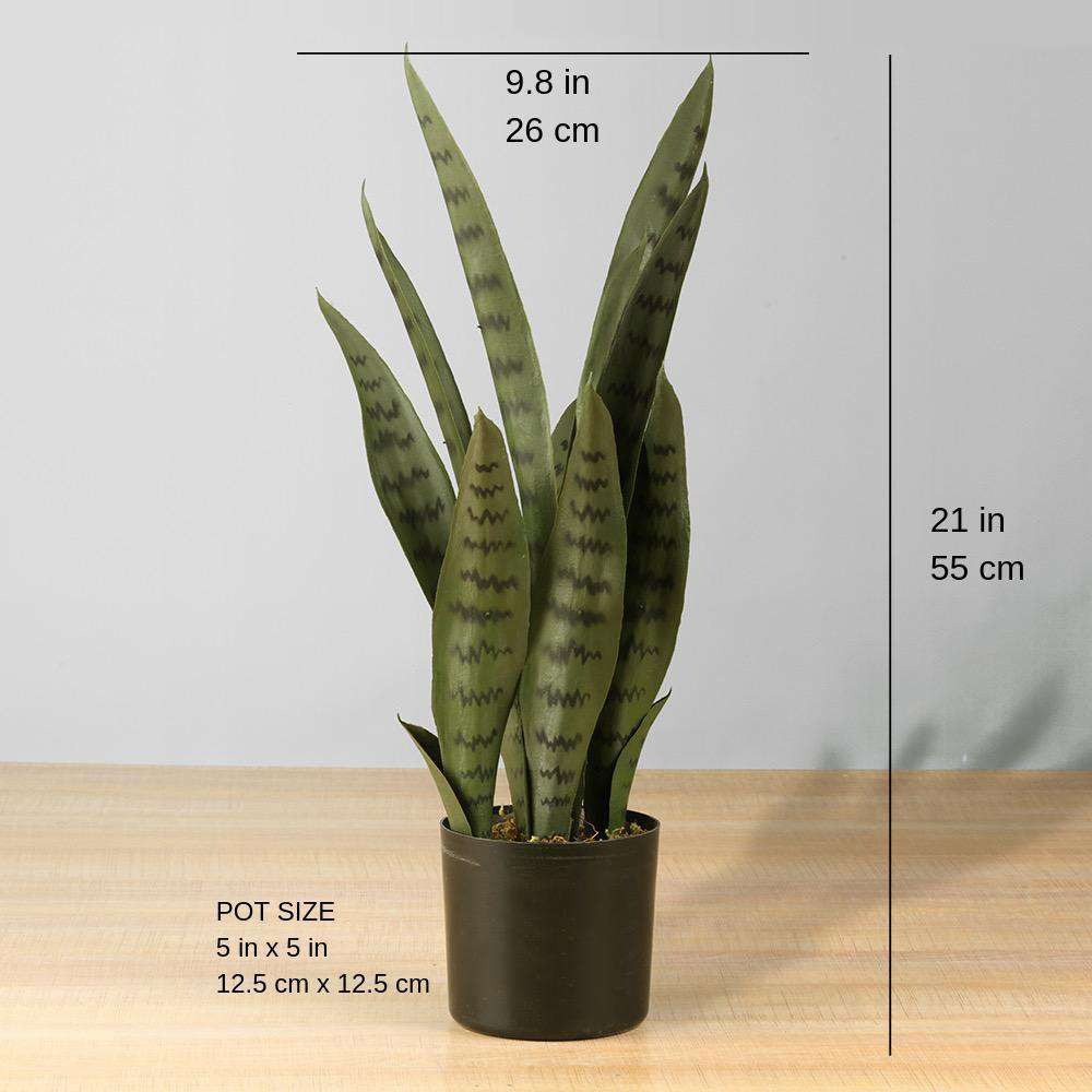 Dezi Sansevière Artificielle Serpentine Vert Foncé en Pot 53 cm