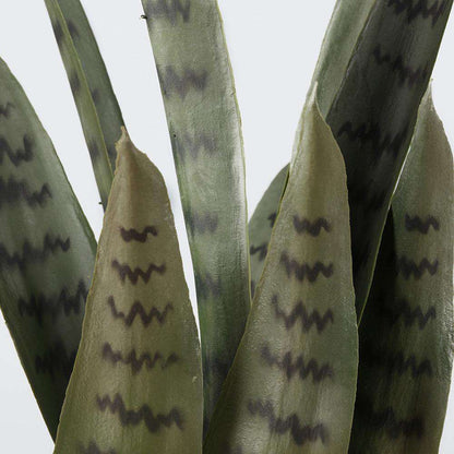 Dezi Sansevière Artificielle Serpentine Vert Foncé en Pot 53 cm
