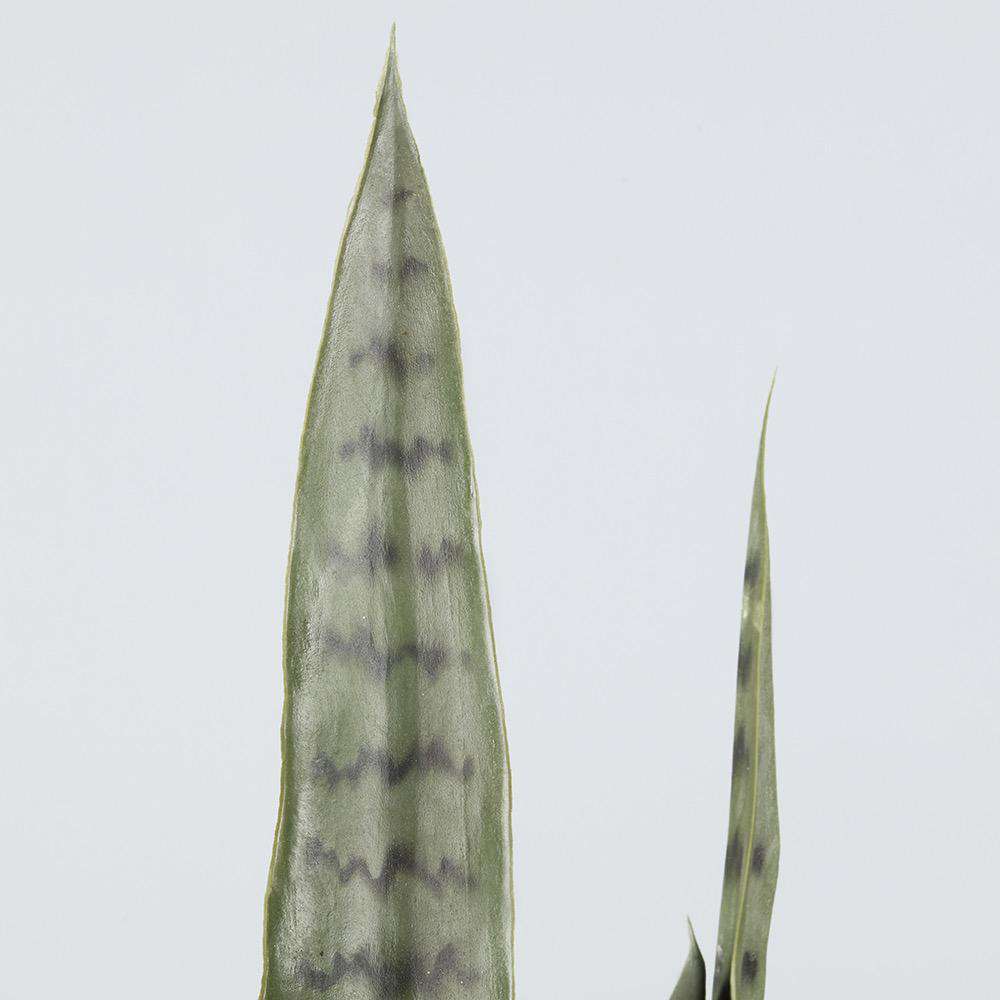Dezi Sansevière Artificielle Serpentine Vert Foncé en Pot 53 cm