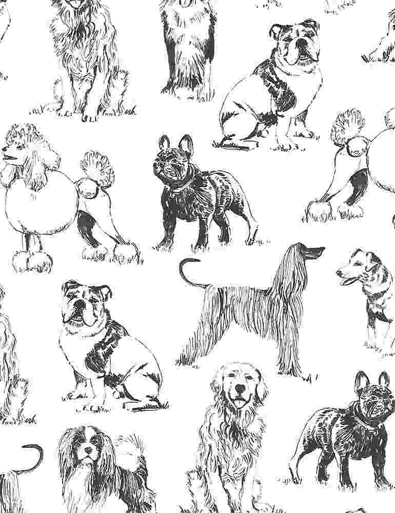 Trésors intemporels - Chiens réalistes esquissés
