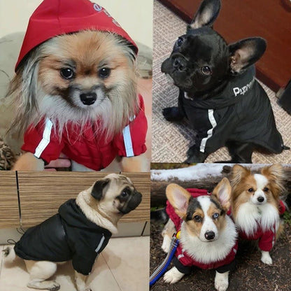 Doudoune pour chien Pupreme | Doudoune pour chien style urbain