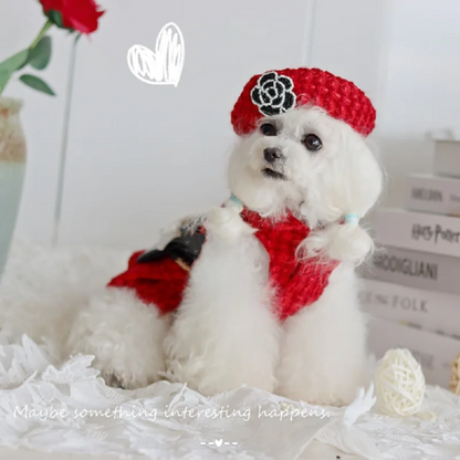 Ensemble Coco Tweed | Gilet ou robe pour chien