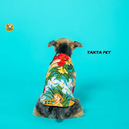 Chemise Takta
