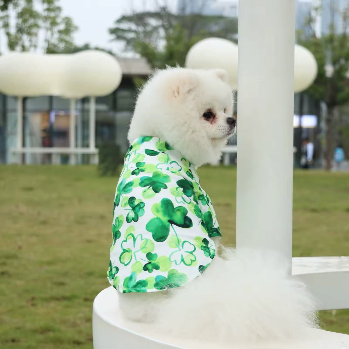 T-shirt pour chien de la Saint-Patrick – T-shirt festif pour animaux de compagnie