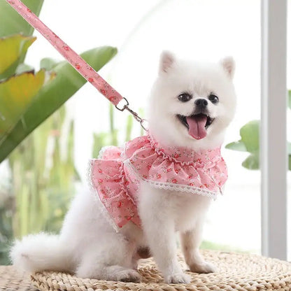 Ensemble Harnais et Laisse Floral pour Chien | Ensemble de Promenade pour Chien