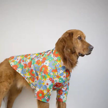 Chemise de printemps Merle – Chemise pour grands chiens