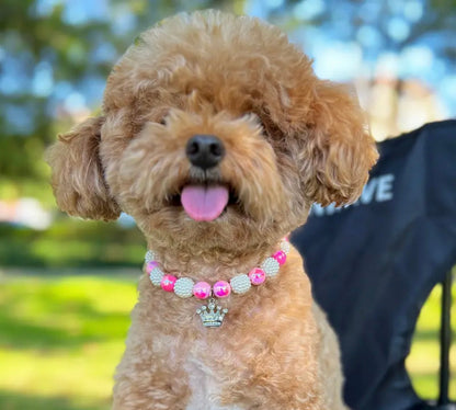 Collier Couture pour Chien