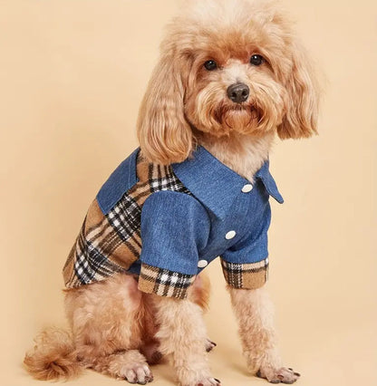 Chemise pour chien Lenny | Chemise boutonnée pour chiens
