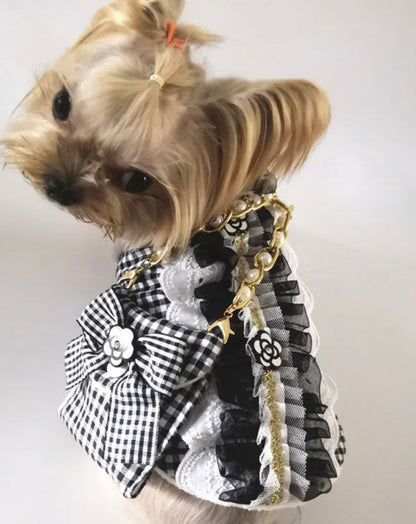 Robe et sac à main Chewnel