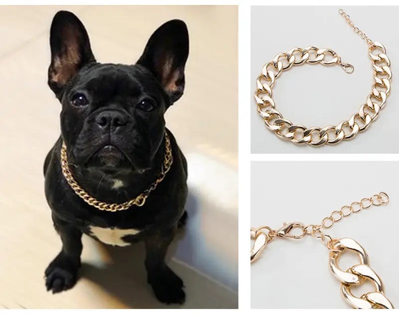 Collier de Chien Chaîne Or | Collier Chaîne pour Animaux de Compagnie