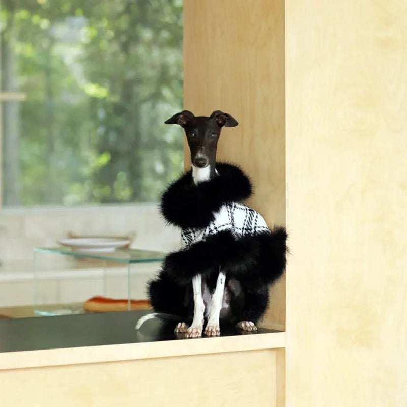 Dubai Dog Coat | Plaid Dog Coat
