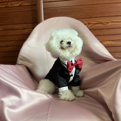 Spiffy Gentleman Dog Tuxedo Suit | Formal Occasion Dog Outfit