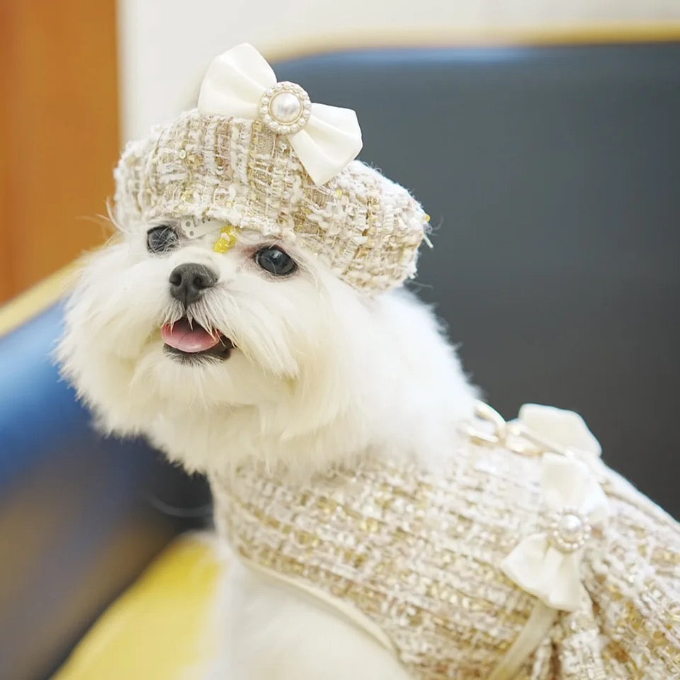Ensemble harnais et laisse pour chien | Ensemble de vacances alpin pour chien