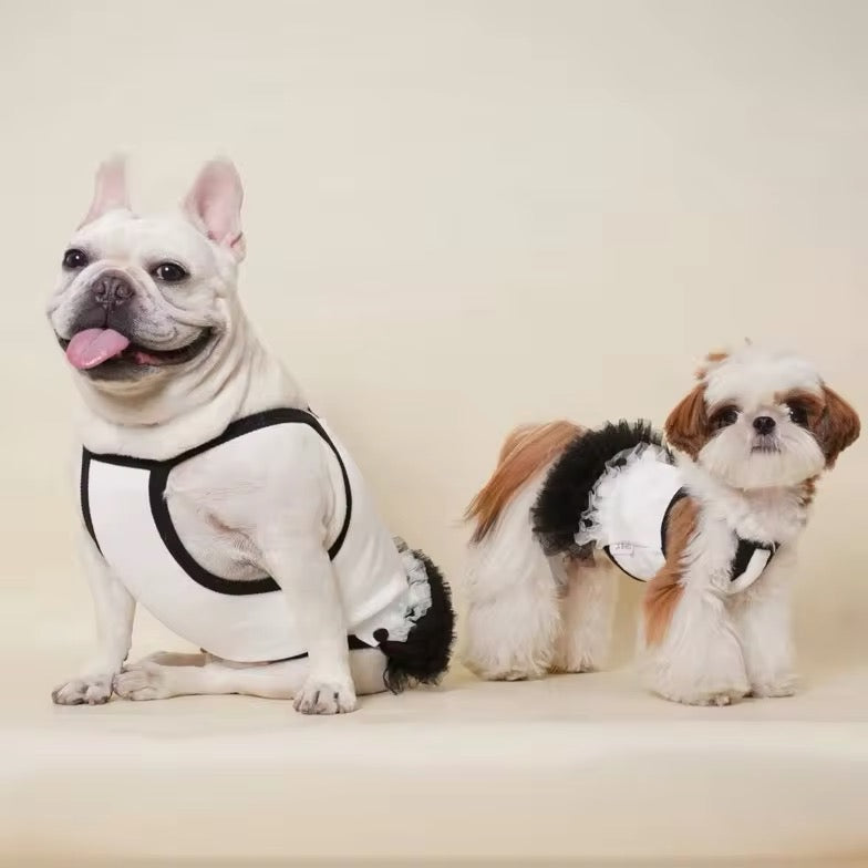 Robe pour Chienne Tina – Robe Élégante en Tulle pour Chienne