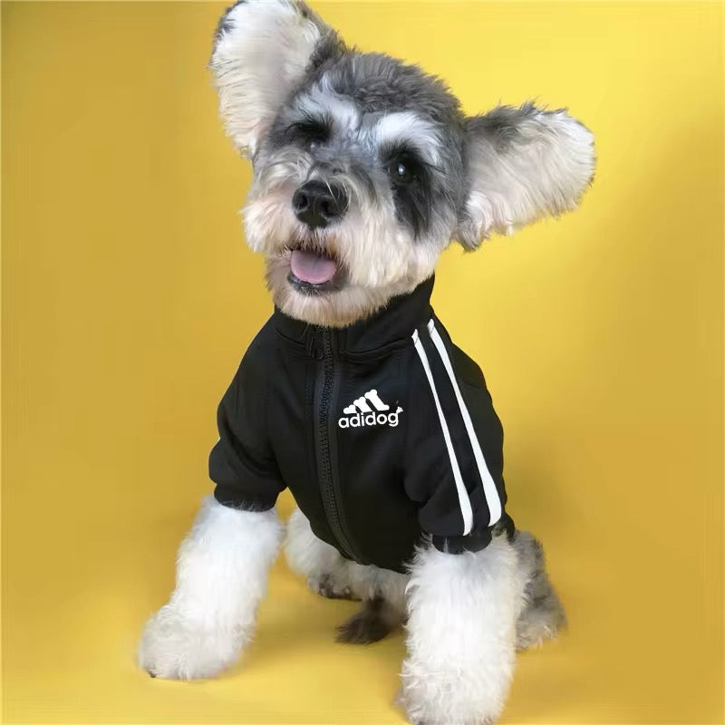 Veste Adidog pour chien | Veste pour chien pour temps froid