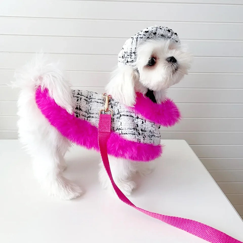 Ensemble Harnais Ultra Violet | Harnais, laisse et chapeau pour chien