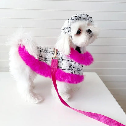 Ensemble Harnais Ultra Violet | Harnais, laisse et chapeau pour chien