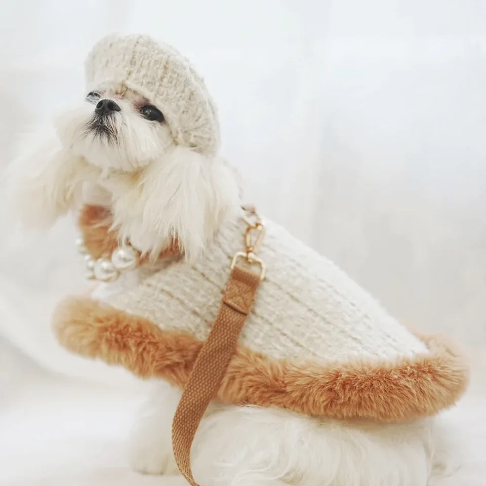 Dog Harness Hat and Leash Set | Designer Pet Set