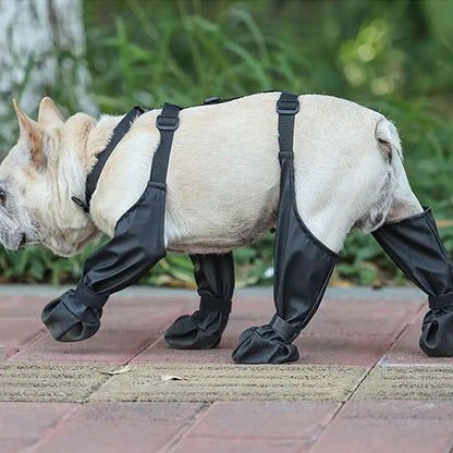 Bottes pour chiens | Bottes de protection des pattes pour chiens