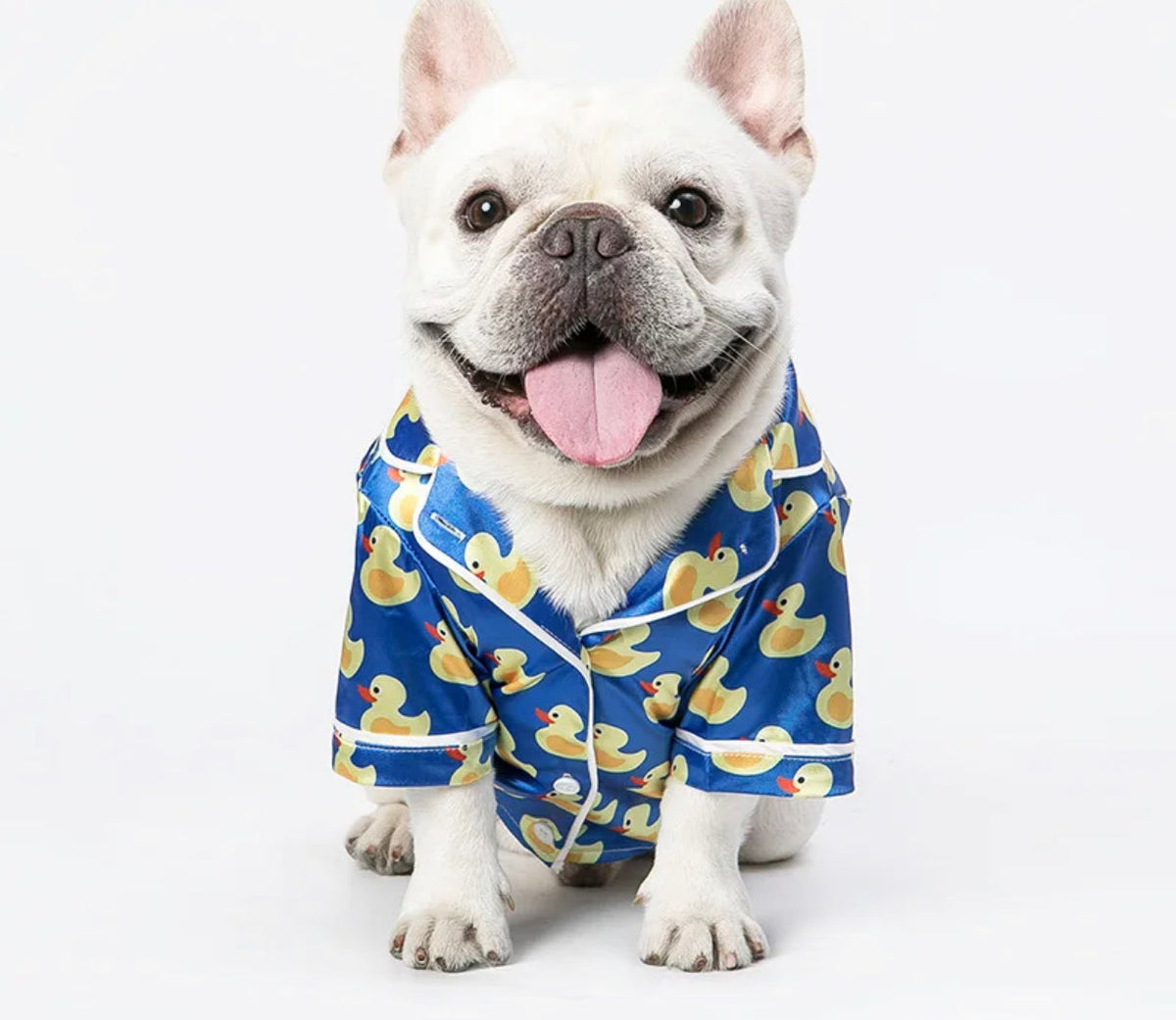 Pyjama Canard