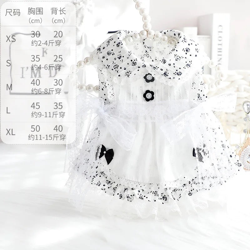 Robe Pays des merveilles hivernal