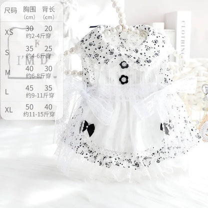 Robe Pays des merveilles hivernal