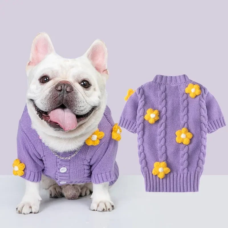 Pull Rêve Lavande