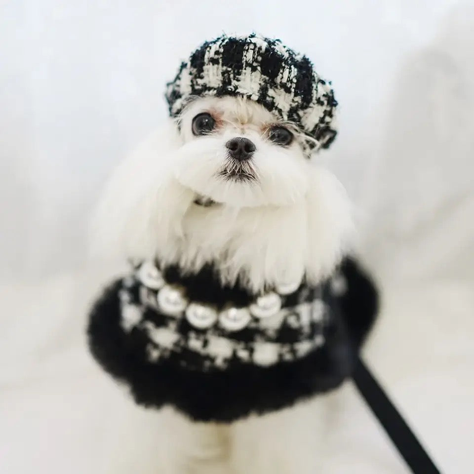 Ensemble Harnais, Chapeau et Laisse Grand Maître Tweed pour Chien
