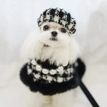 Ensemble Harnais, Chapeau et Laisse Grand Maître Tweed pour Chien