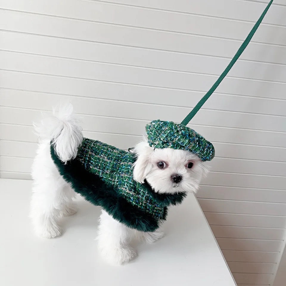 Evergreen Heritage Tweed Dog Harness Set | Harness Hat and Leash Outfit