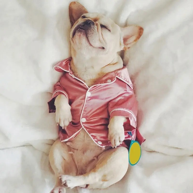 Pyjama Confortable pour Chien – Doux Vêtements de Nuit pour Chiens
