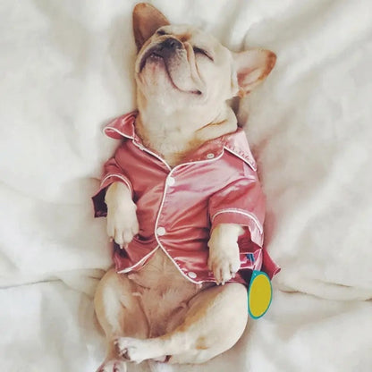 Pyjama Confortable pour Chien – Doux Vêtements de Nuit pour Chiens